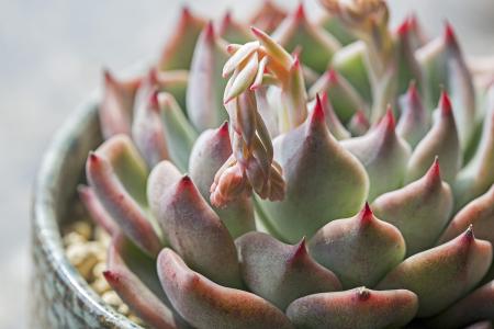 ּ̫ſعȨת йΪعɹɶ