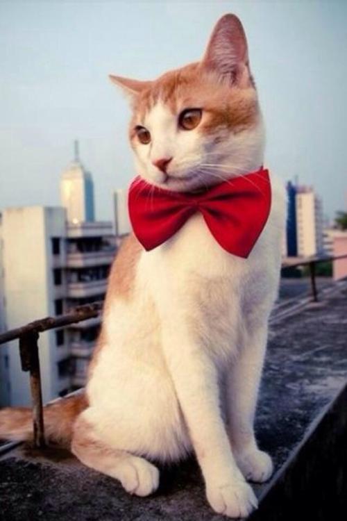 ж! 2020սͼ:48ɽ ¹ű